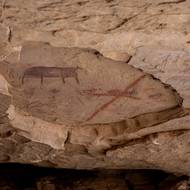 „Odpovídá to takzvanému období ‚zelené Sahary‘ mezi 10 000 a 3000 lety před naším letopočtem,“ dodala.