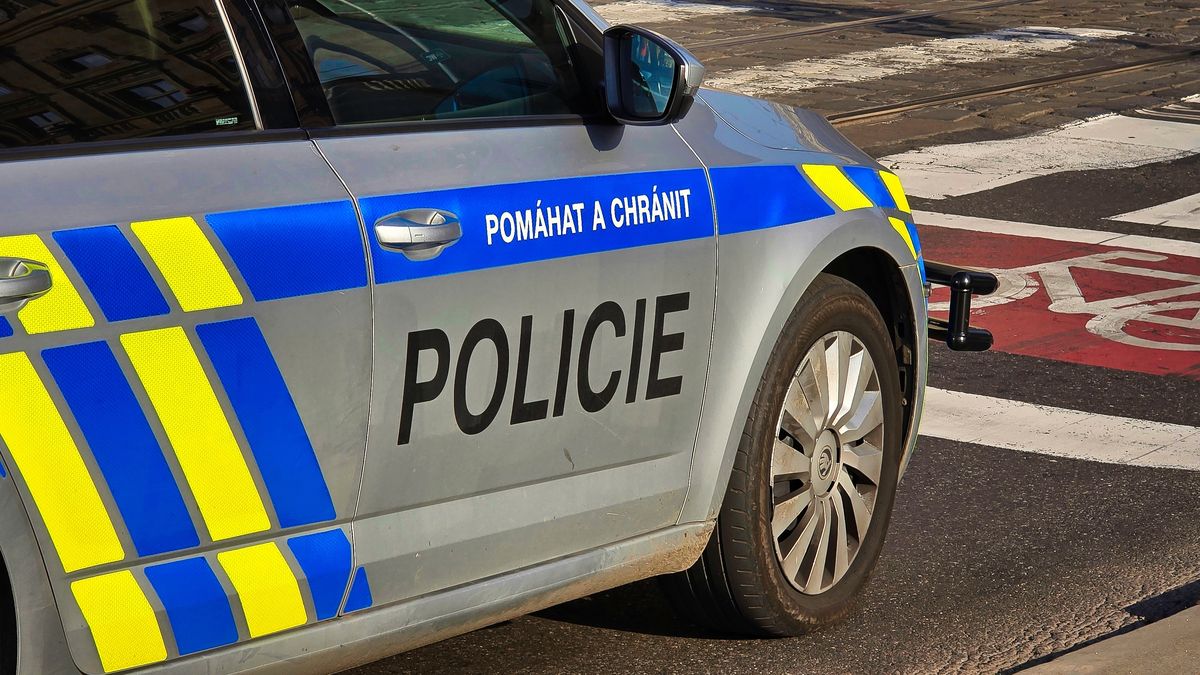 Policie zatím při sněmovních volbách nezaznamenala žádné incidenty