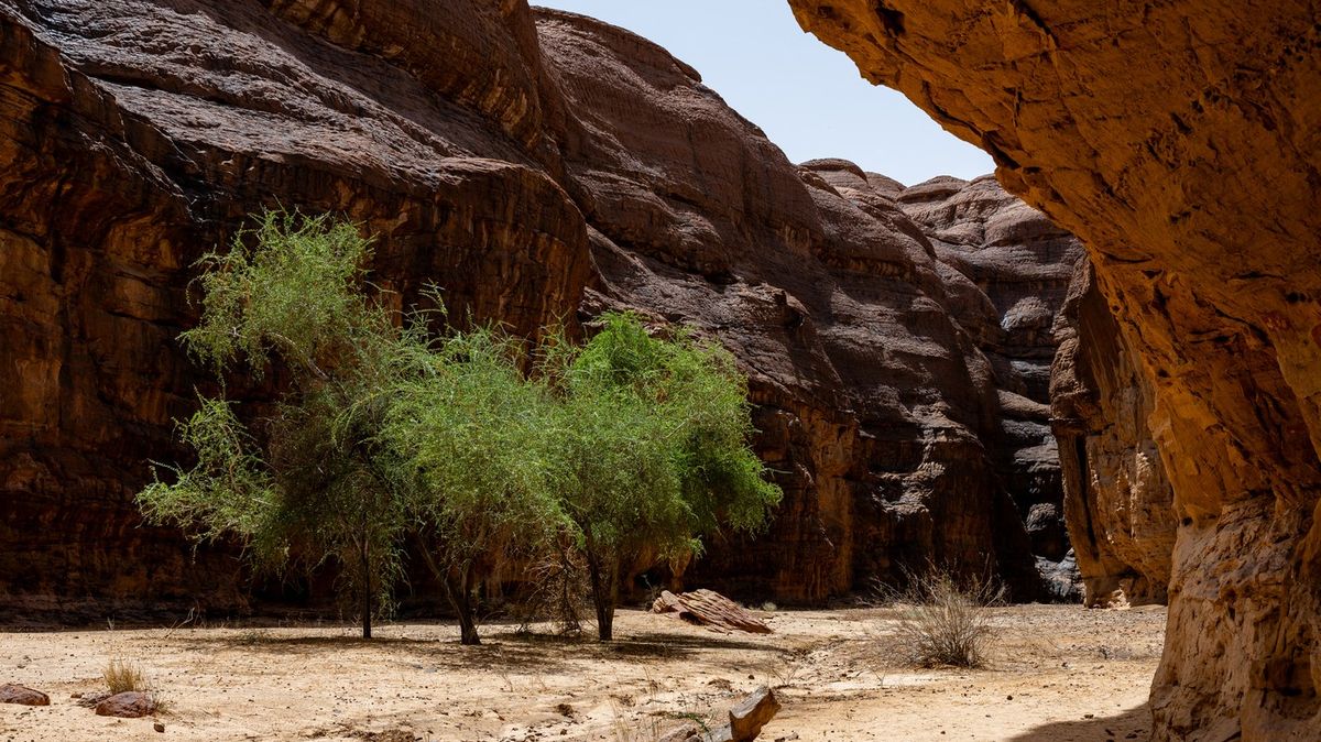 Fotky: Archeologický ráj v poušti. „Je to Lascaux krát 100 tisíc“