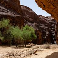 Pětidenní vědecká mise, která se konala koncem července asi 30 kilometrů od Fady, svedla dohromady čadské archeology a geology z univerzit v N'Djamena a Abéché.