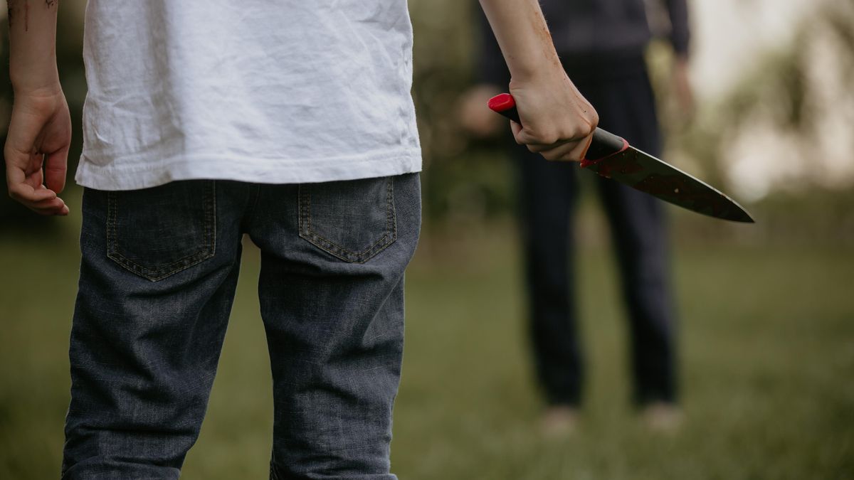 Kriminalita v Česku neroste, přibývá ale případů s vysokou agresí dětí