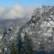 Jizerskohorské bučiny v zimě.