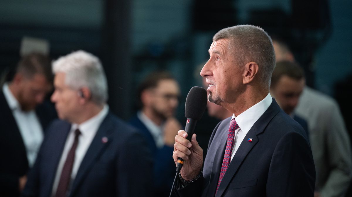Babiš: Vláda by měla postavit společného kandidáta na prezidenta