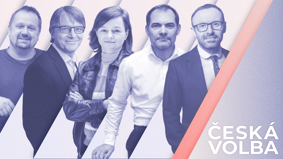 Výběr z České volby V: Co ohrožuje demokracii? Tak například pasivita