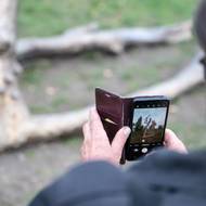 Projekt vznikl na popud nadačního fondu Bohemian Heritage Fund. „Praying Wood je jistým způsobem vizionářská práce, memento mori, jež nás varuje před námi samými. Kromě environmentálních imperativů nese významy sociální a politické,“ uvedli zástupci fondu.