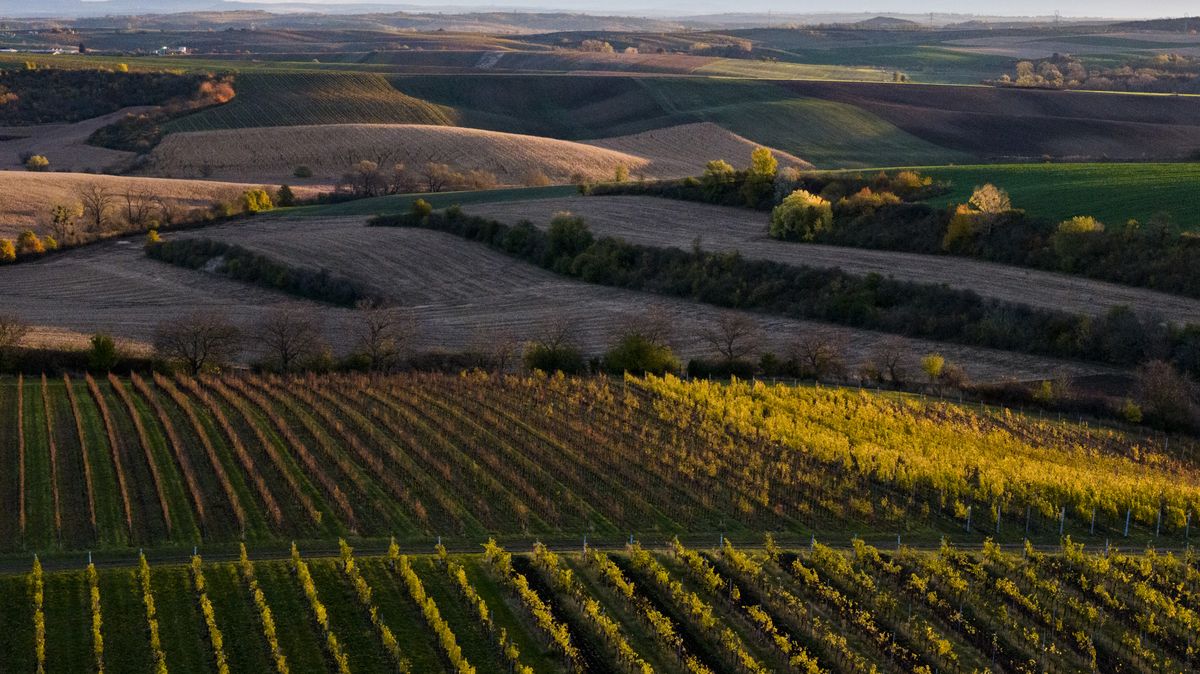 Jedno z 50 nejkrásnějších míst planety je na Moravě. Fantastické je právě teď