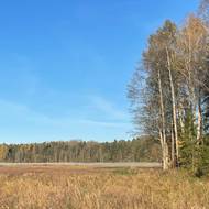 Plot oddělující jednu zemi od druhé.