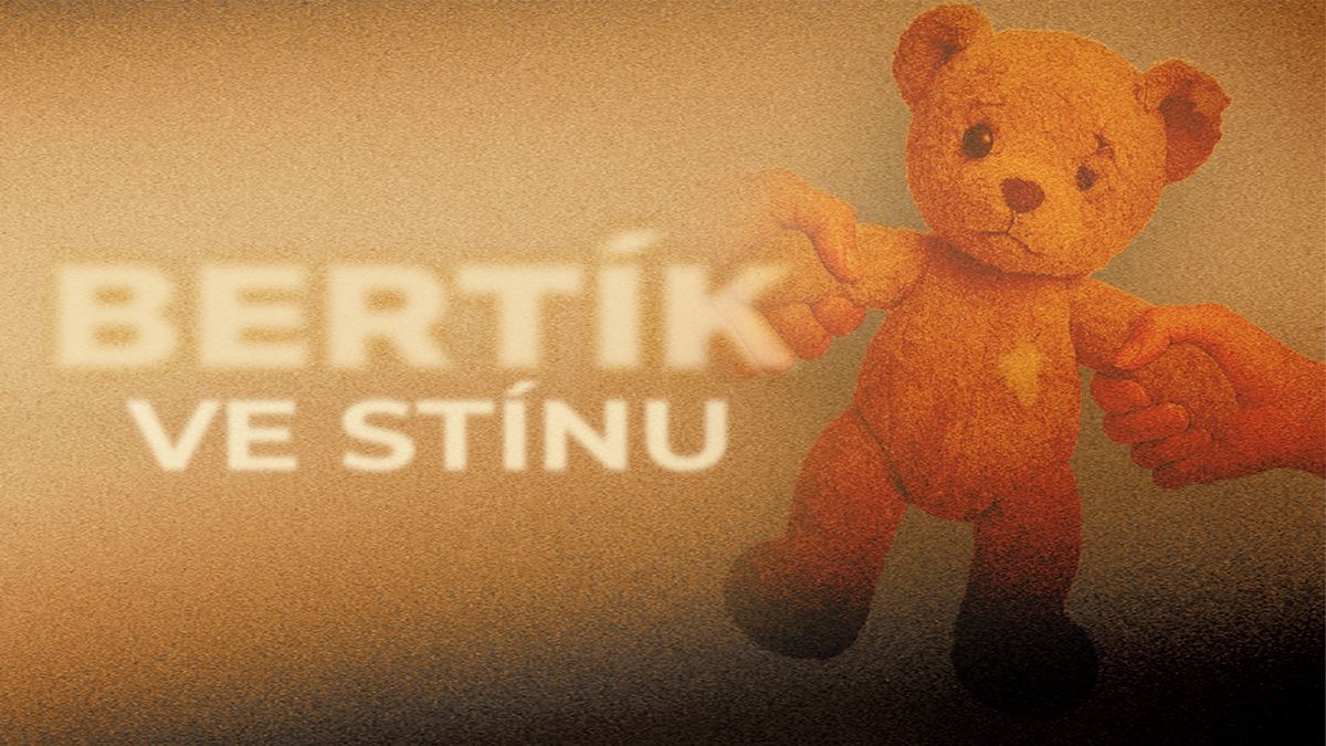 Policie tápe. Soudy rozhodly. Teď případ Bertík míří do Štrasburku