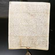 Vltava slavná & splavná