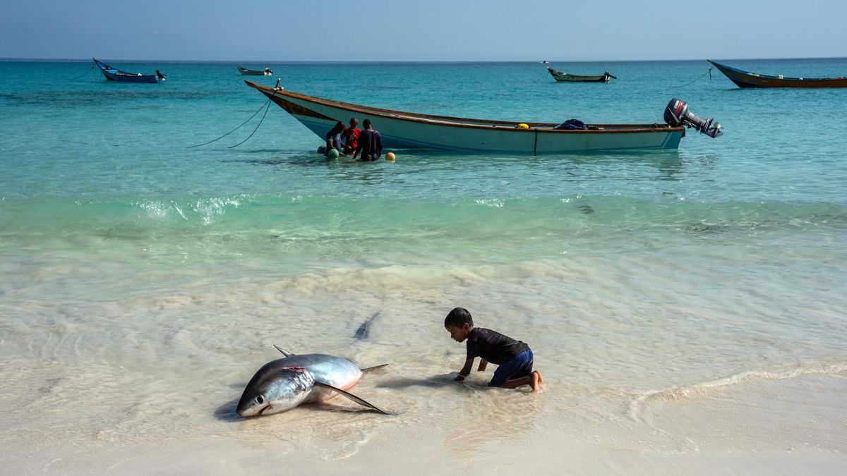 Fotky z ráje, který uniká válce. I tady se obávají klimatické změny