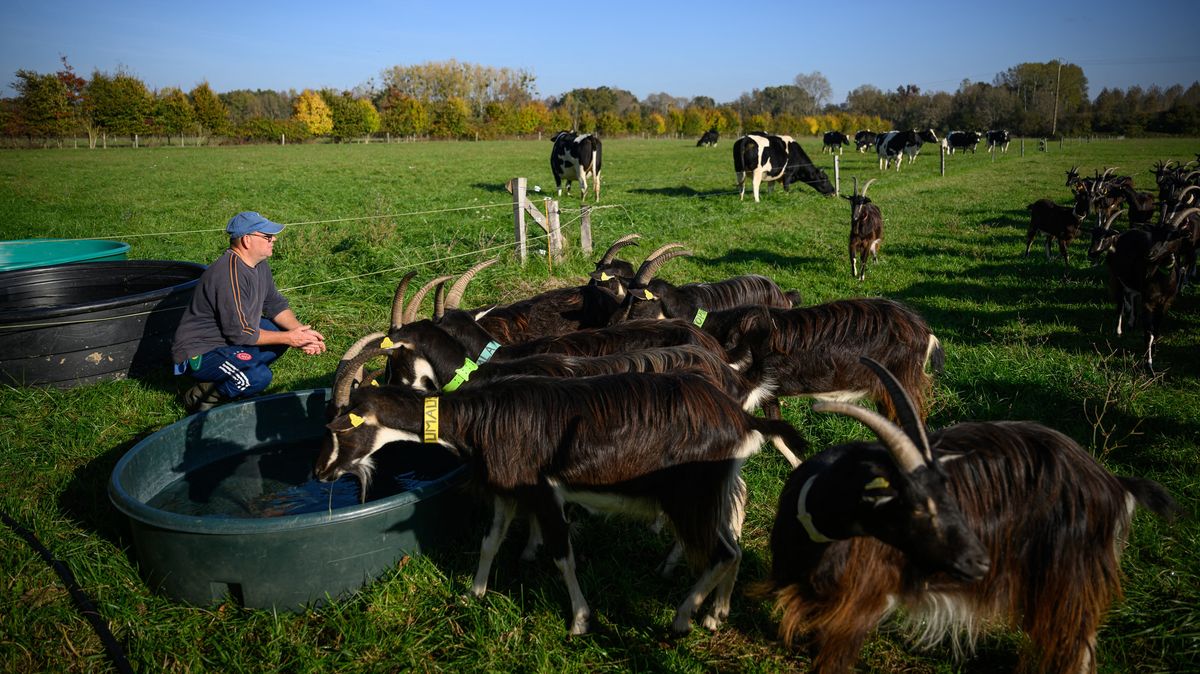 Fotky: Postupný návrat na svobodu. Na farmě začleňuji vězně do společnosti