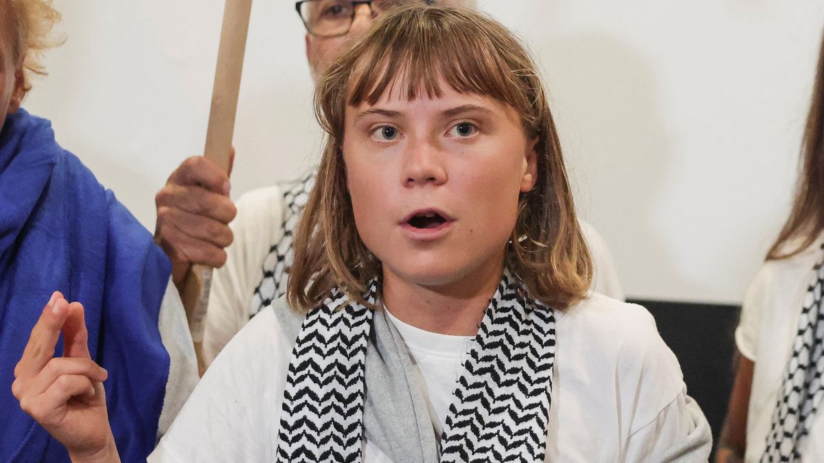 Aktivistka Thunbergová tvrdí, že byla v izraelské věznici mučena