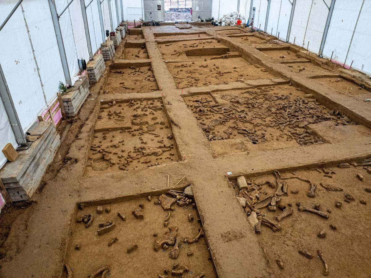 Archeologické naleziště - nález kostí mamutů a dalších pravěkých zvířat v Ústí nad Labem.
