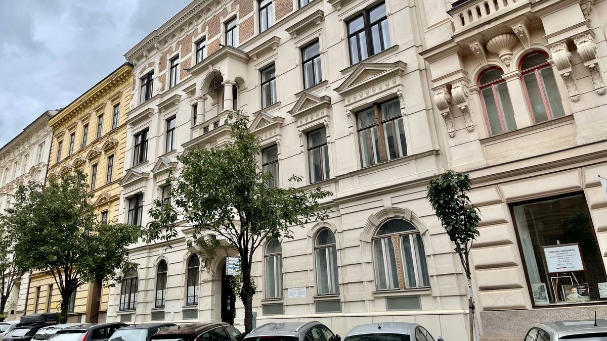 Dlouhá cesta k výslechu. Mladík viní žalobkyni, že mu vzala dědictví po matce