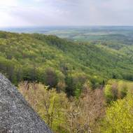 Jizerskohorské bučiny na jaře.