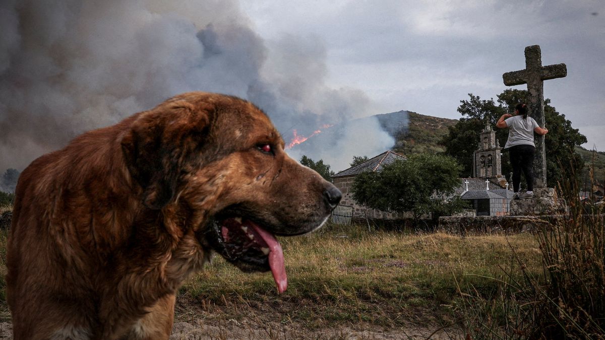 Fotky: „Voda je černá.“ Španělé se i po měsících potýkají s následky požárů
