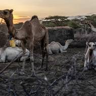 „Modlíme se jen za to, aby se situace nezhoršila,“ vysvětlil správce vesnice.