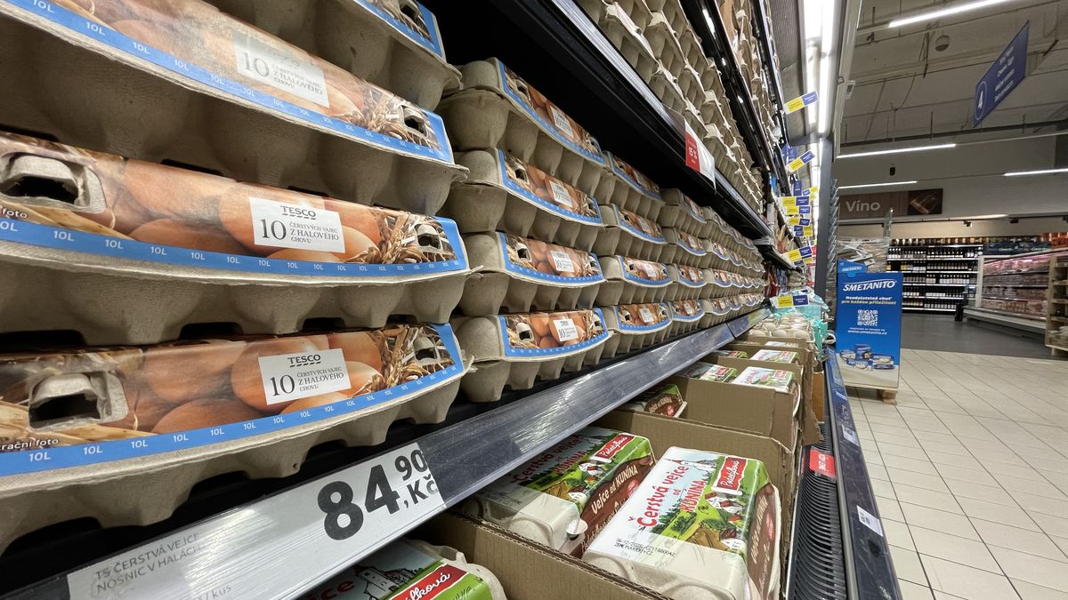 Zlato v kurníku. Vejce skokově zdražila, ptačí chřipka není jediný důvod