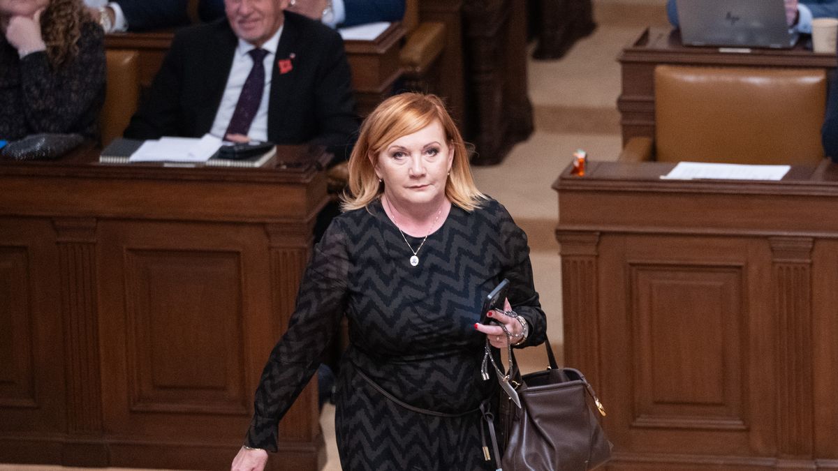 Schillerová navrhne vrátit rozpočet k přepracování, nastalo by provizorium