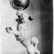 Žeryk koncem 30. let.