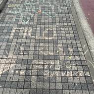 Příznivci vládních stran volají po jeho vyloučení ze školy. Místopředseda Směru Tibor Gašpar označil studenta za „nevychovaného adolescenta“ a za „oběť prostředí, ve kterém je vychovávaný a vzdělávaný“ a přirovnal ho k atentátníkovi Juraji Cintulovi.