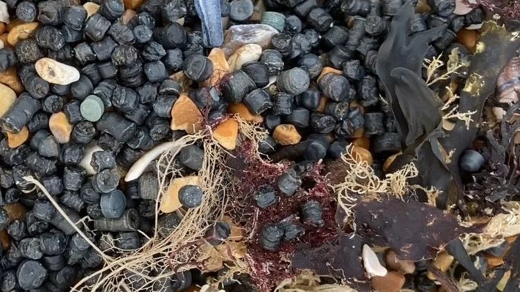 Na anglické pláži se objevily miliony peletek. Lidé je uklízejí s cedníky