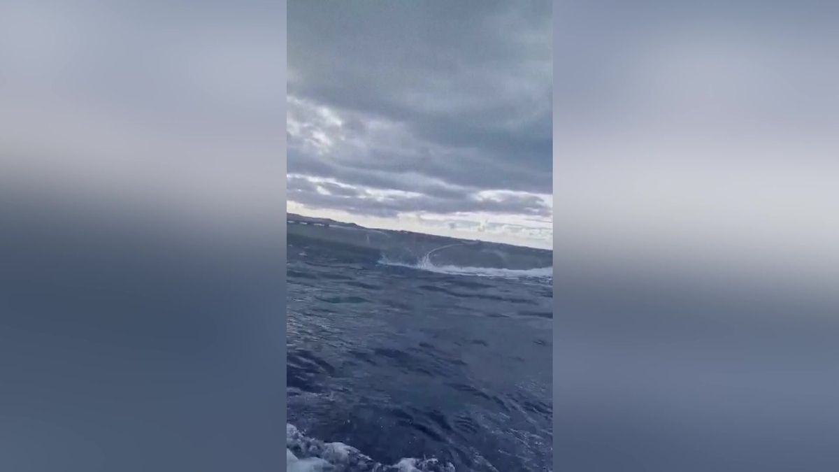 Pohled do útrob narkoponorky. Portugalci tam našli víc než tunu kokainu