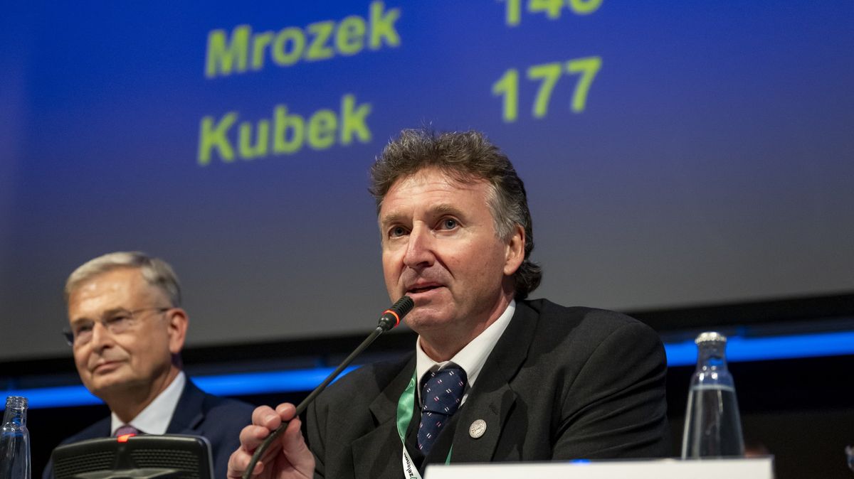 Daň z neřestí či vyšší zdravotní pojištění. Vize znovuzvoleného šéfa lékařů