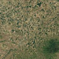 Pole v severní části centrální Montany. (7. června)