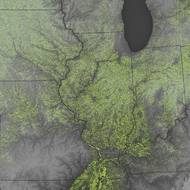 Americký stát Illinois má rovinatou krajinu, úrodnou půdu a největší sklizeň sóji v zemi. Zveřejněno 12. června 2025.