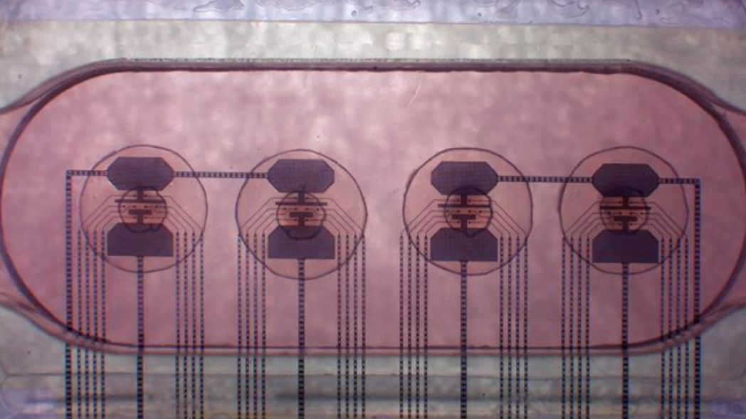 Výzkum organických počítačů postupuje, praktické využití je ale daleko