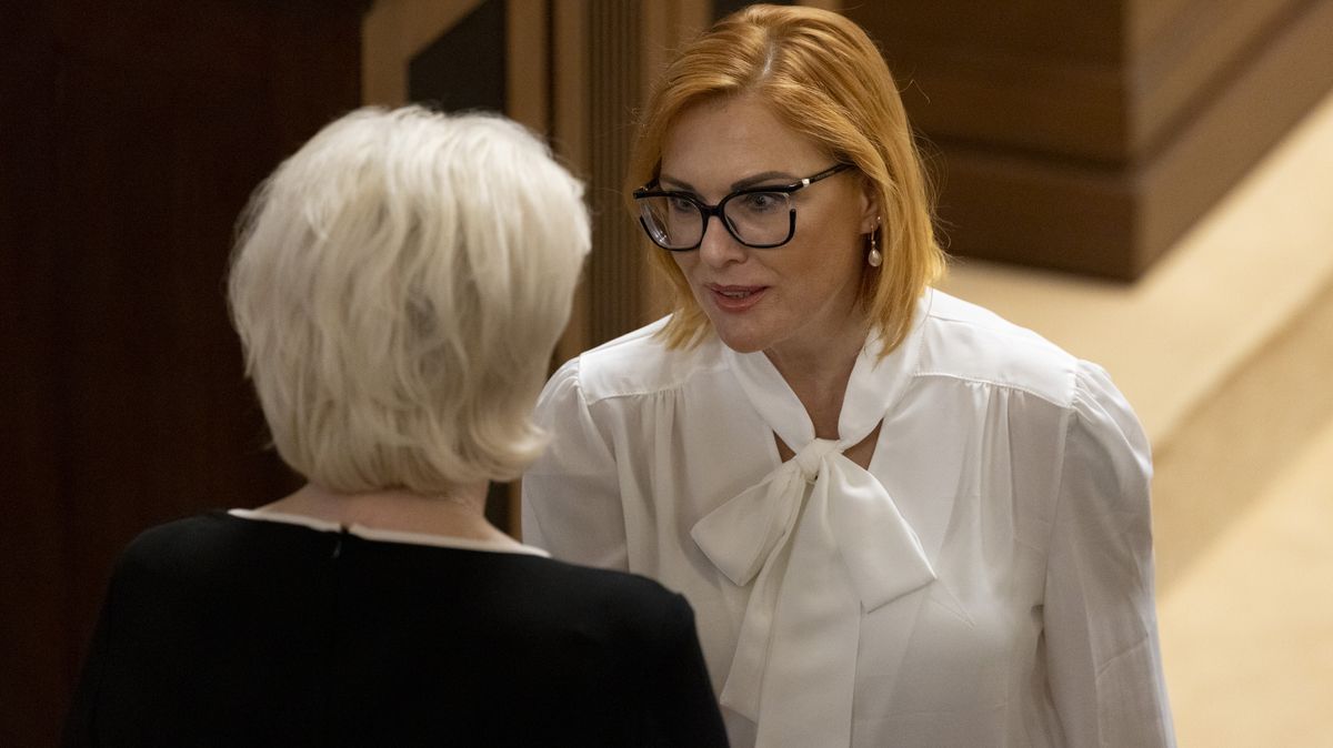 Od vlajky k defenestraci: Majerová sdílí AI video, kde vyhazují poslance z okna