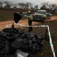 Mrtví čápi u řeky Manzanares v Perales del Río nedaleko Madridu ve Španělsku, 12. prosince.