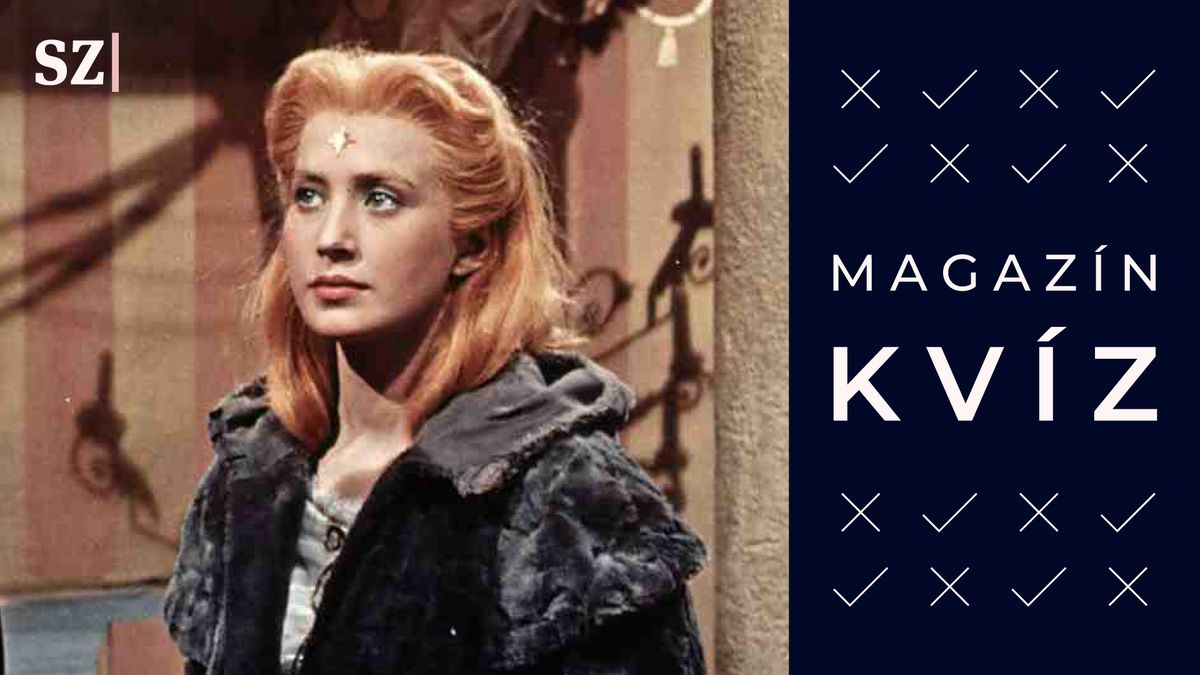 Kvíz, který prověří, kolik času jste strávili u vánočních pohádek a filmů