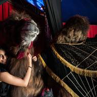 Ze zákulisí cirkusu. (9. května)