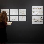 Snímek z výstavy děl Svatopluka Klimeše.