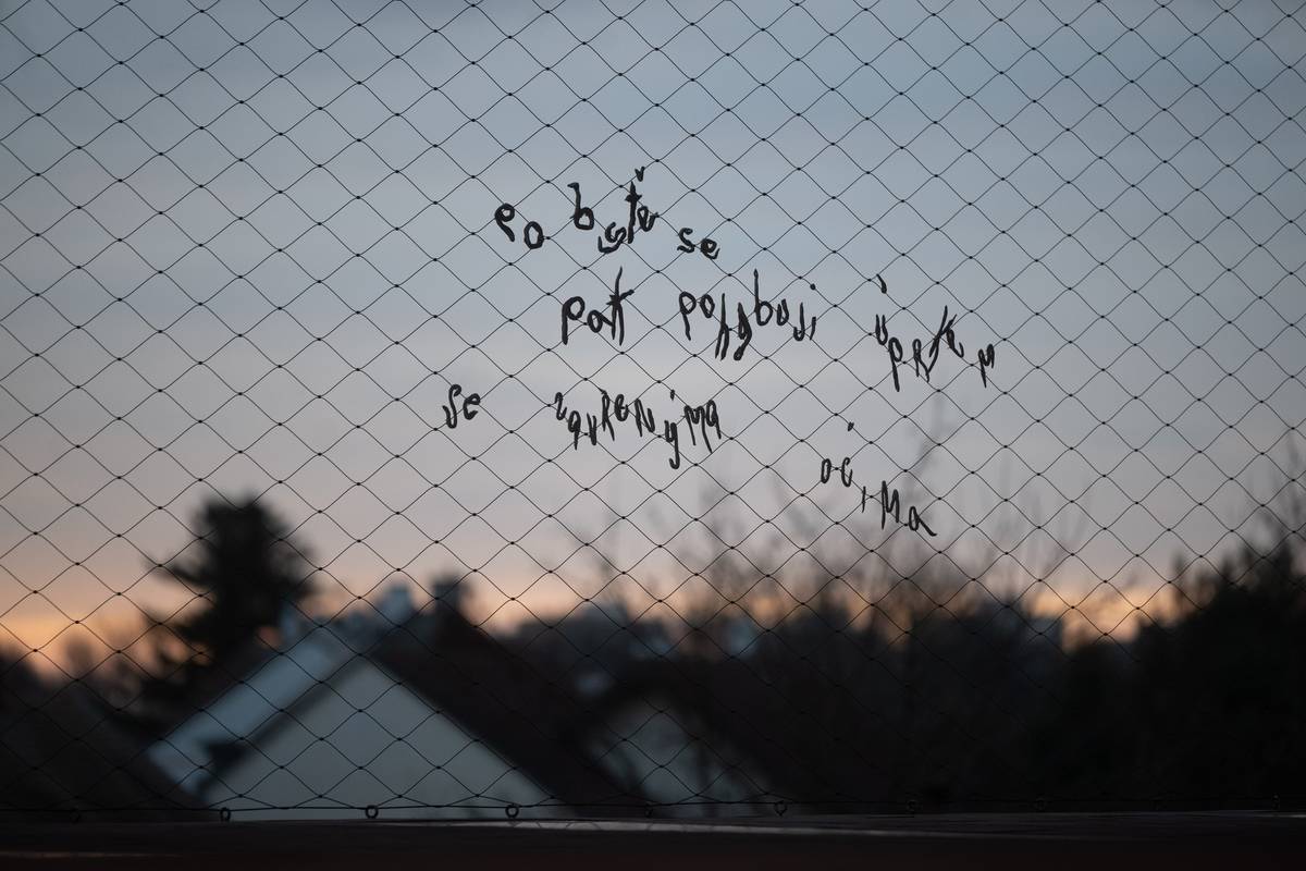 Výstava nazvaná Poezie je začala v Galerii města Pardubic minulý měsíc, potrvá do 15. února.