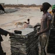 Aby se člun dopravil na španělské ostrovy, musí překonat vzdálenost 970 km, což může trvat až osm dní. Zatímco loni počet přistěhovalců, kteří připluli ze západní Afriky na španělské souostroví, dosáhl rekordních 46 843, letos je jich výrazně méně. Španělské ministerstvo vnitra do října zaznamenalo pokles o 59 procent. Cesta čluny na Kanárské ostrovy je mimořádně nebezpečné a pravidelně tam umírá řada lidí.