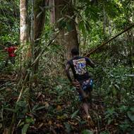 Hluboko v thajském lese sprintuje podrostem mladý muž s foukačkou v ruce, než vystřelí otrávený šíp na opici. Skupina se přiblíží, křičí na sebe a zvíře padá na zem. (Muž z kmene Maniq honí opici, kterou zahlédl v korunách stromů v Phatthalungu v jižním Thajsku, zveřejněno 30. října.)