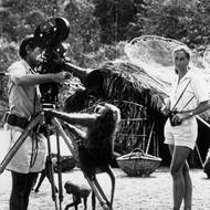 1. října zemřela britská bioložka a ochránkyně přírody Jane Goodallová. Svůj život zasvětila studiu chování šimpanzů, jemuž se dlouhá léta věnovala v přirozeném prostředí těchto tvorů, v národním parku Gombe v Tanzanii. Až do vysokého věku se angažovala v hnutí na ochranu zvířat. Bylo jí 91 let.