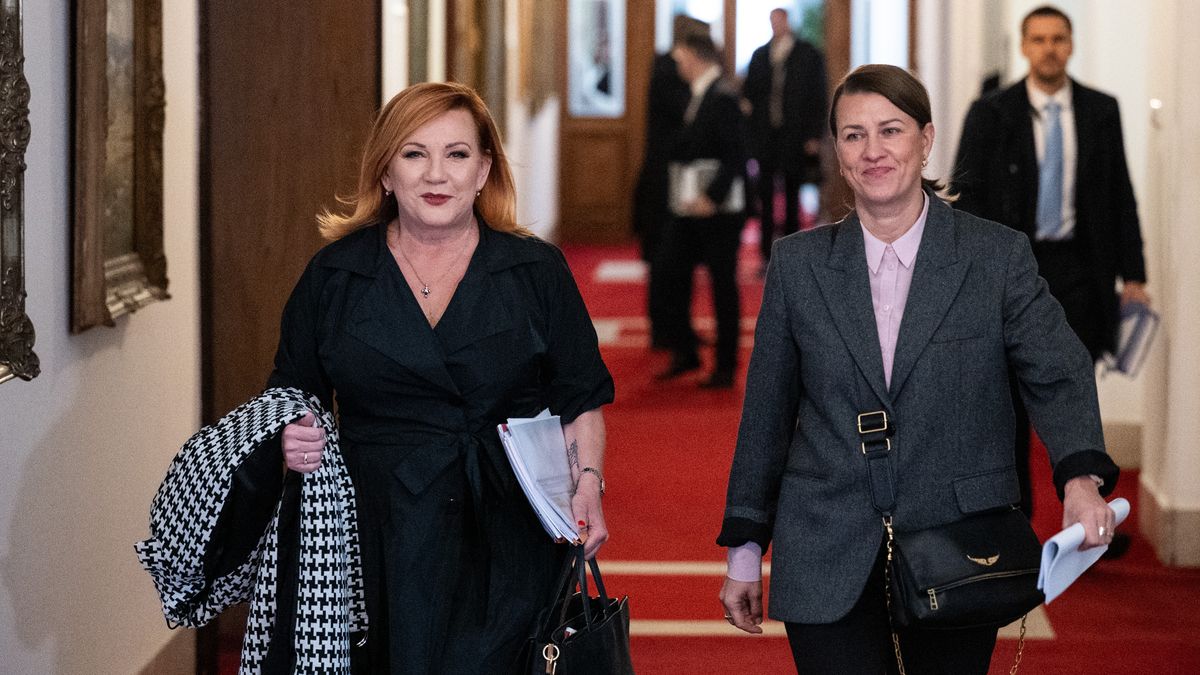 Nesouhlasím, že se jen rozhazovalo, říká končící náměstek k čistkám na resortech