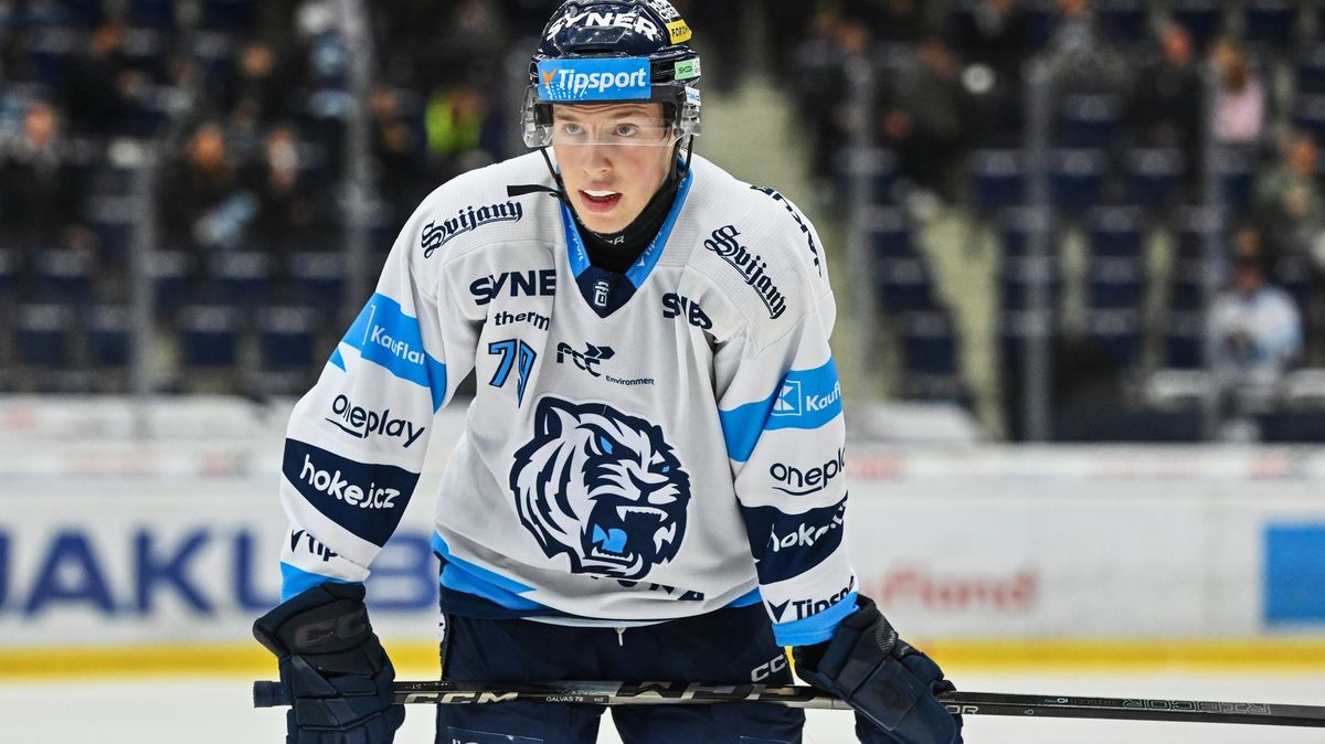 Česko hledá továrnu na hokejový talent. Hráč nakonec ale stejně odejde