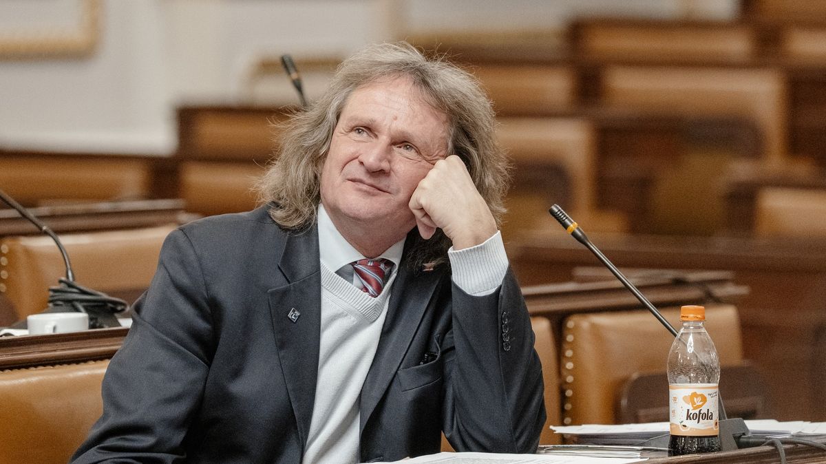 Domy, sjezdovka a půjčky. Ševčík přiznal majetek za 100 milionů