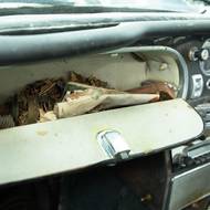 Raritní Aston Martin DB5 před renovací a po ní. Cena vzrostla tisíckrát.