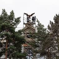 Sokol opět vzlétl na začátku prosince.