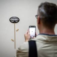 Snímek z výstavy děl Kateřiny Vincourové.