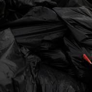 Vysoce patogenní ptačí chřipka vedla v posledních letech k utracení stovek milionů chovaných ptáků po celém světě, což narušilo zásobování potravinami a zvýšilo ceny.