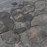 Irák již dlouho trápí písečné a prachové bouře. V posledních letech jsou ovšem ještě častější a intenzivnější. (Úprava písečných dun jižně od města Samawa, 21. prosince 2025.)