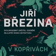 V kopřivách,  Jiří Březina, Nakladatelství Motto, 296 stran