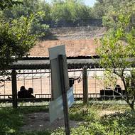 V komplexu Cu Chi si mohou návštěvníci za poplatek i zastřílet z kulometů na střelnici.